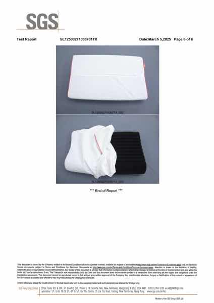 Safety test report TX6